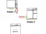 PLN